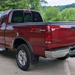 Alternative view of 2002 Ford F-150 XLT 4x4